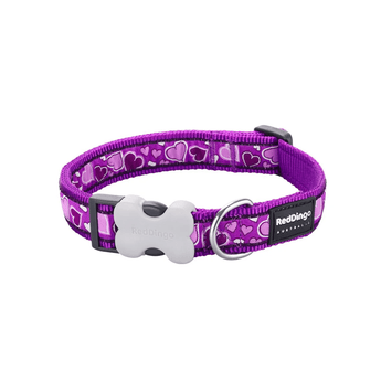 White background with a purple 'Red Dingo' dog collar with purple hearts on it. 