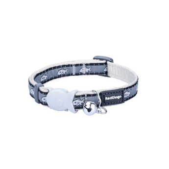 White background with a grey 'Red Dingo' with silver sharks cat collar. 