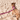 Brown dog wearing a Red Dingo harness with a Red Dingo Hot Pink Classic lead attached, on a sandy beach.