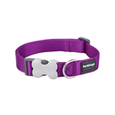 A Red Dingo Classic Purple Dog Collar on a white background