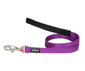 White background with a purple 'Red Dingo' dog lead. 