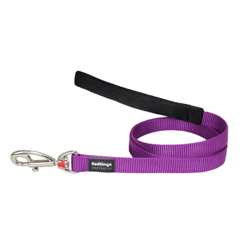White background with a purple 'Red Dingo' dog lead. 