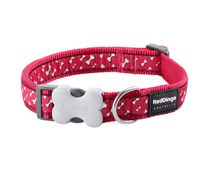 White background with a red 'Red Dingo' with white bones dog collar. 