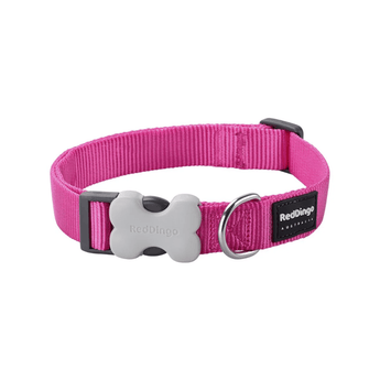 White background with a pink 'Red Dingo' dog collar. 