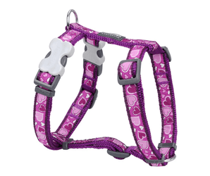 White background with a purple 'Red Dingo' harness with purple hearts on it.