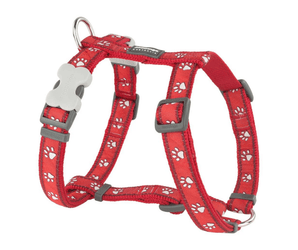 White background with a red 'Red Dingo' with white paws dog harness. 