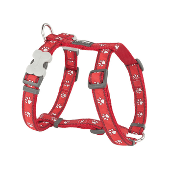 White background with a red 'Red Dingo' with white paws dog harness. 