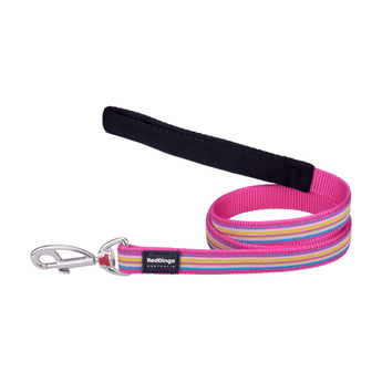 White background with a pink, blue, yellow and green stripy 'Red Dingo' dog lead. 