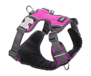 White background with a pink and grey 'Red Dingo' padded harness. 