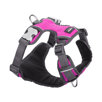 White background with a pink and grey 'Red Dingo' padded harness. 