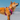 Sheba Inu dog wearing a pink and grey 'Red Dingo' padded harness, pictured on a beach.