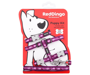 White background with a purple 'Red Dingo' puppy kit with purple hearts on it, attached to a red cardboard backing with a illustrated puppy on it.