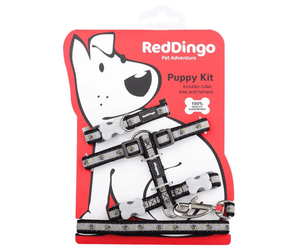 White background with a black and grey 'Red Dingo' puppy kit with bees pictured on it, attached to a red cardboard backing with a illustrated puppy on it.