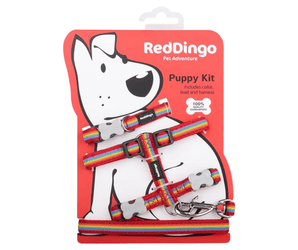 White background with a Rainbow 'Red Dingo' puppy kit, attached to a red cardboard backing with a illustrated puppy on it.