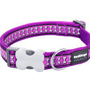 A close up of a Red Dingo Purple Reflective Dog Collar on a white background