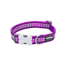 A Red Dingo Purple Reflective Dog Collar on a white background