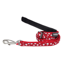 A Red Dingo Red Spots Dog Lead on a white background