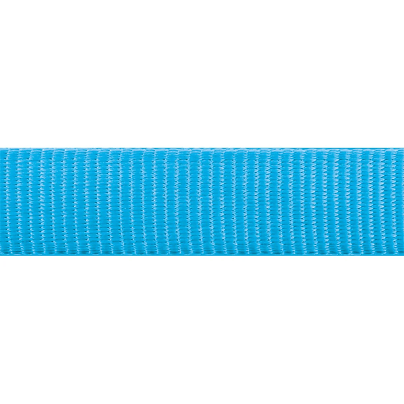 The Red Dingo Turquoise Dog Lead pattern