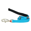 A Red Dingo Turquoise Dog Lead on a white background