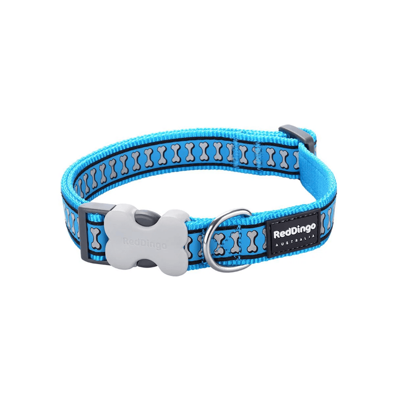 A Red Dingo Turquoise Reflective Dog Collar on a white background