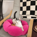 Black and white adult cat lying on a pink flower shaped cat bed with a yellow centre, pictured on a grey chair with a black and white checked throw on the back of the chair. 