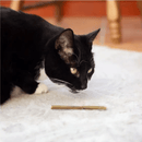 An adult black and white cat pictured on a cream rug smelling a Rosewood Naturals Catnip Stick.
