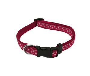 White background with a red dog collar with white dots. Featuring a black buckle and silver tag loop.