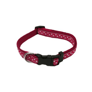 White background with a red dog collar with white dots. Featuring a black buckle and silver tag loop.