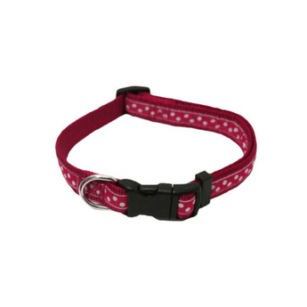 White background with a red dog collar with white dots. Featuring a black buckle and silver tag loop.