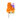 White background with a Rosewood Under the Sea orange plush Star Fish cat teaser with a cardboard tag attached.