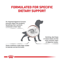 White background with a silhouette of a setter dog in the centre, around the dog is text reading 'Formulated for specific dietary support, An impaired digestive function prevents dogs from properly benefiting from nutrients contained in their food, Vomiting, diarrhoea or loose stools are the most common signs of digestive issues, Some conditions make dogs unable to tolerate normal fat levels'.