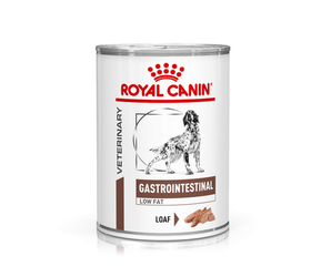 White background with a tin of Royal Canin Gastrointestinal Low Fat Loaf for dogs. A English Setter dog is pictured on the tin with text below reading 'Gastrointestinal, Low Fat, Loaf'. 
