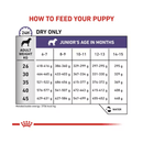 Royal Canin Neutered Junior Large breed dry food feeding guide.