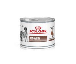 White background with a tin of Royal Canin Recovery Mousse for cats and dogs. A English Setter dog and a long haired tabby cat are pictured on the tin with text below reading 'Recovery, Ultra soft mousse'. 