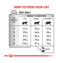 Royal Canin Dental for cats feeding guide. 