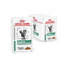 White background with a box of wet cat food pouches with an long haired tabby cat pictured on the box, text on the box says 'Royal Canin Veterinary, Diabetic, Thin slices in gravy' In the foreground is a pouch with the same text and style as the box. 