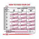 Royal Canin Feline Early Renal wet food feeding guide. 