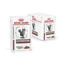 White background with a box of wet cat food pouches with an long haired tabby cat pictured on the box, text on the box says 'Royal Canin Veterinary, Gastrointestinal, Thin slices in gravy' In the foreground is a pouch with the same text and style as the box. 