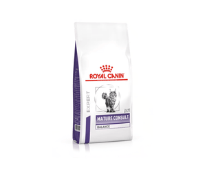 White background with a white bag of Royal Canin Mature Consult Balance dry cat food. Pictured on the bag is a long haired grey tabby cat. 
