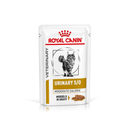 White background with a pouch of wet cat food with an long haired tabby cat pictured on the box, text on the box says 'Royal Canin Veterinary, Urinary S/O, Moderate Calorie, Morsels in Gravy.'