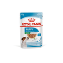 White background with a sachet of Royal Canin Mini Puppy in gravy. Pictured on the packet is a Jack Russell puppy, text on the tin states '2 -10 months'. 