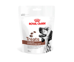 White background with a pouch of Royal Canin Canine Gastrointestinal treats with an English Setter dog pictured on the packet, text on the pouch says 'Royal Canin Treats, compatible with Gastrointestinal Diets.'