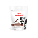 White background with a pouch of Royal Canin Canine Gastrointestinal treats with an English Setter dog pictured on the packet, text on the pouch says 'Royal Canin Treats, compatible with Gastrointestinal Diets.'