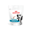 White background with a pouch of Royal Canin Canine Hypoallergenic treats with an English Setter dog pictured on the packet, text on the pouch says 'Royal Canin Treats, compatible with Hypoallergenic Diets.'