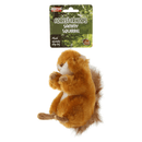 Small ginger squirrel dog toy with a cream belly and fluffy brown tail attached to a green cardboard backing with white text 'Forest Friends Sammy Squirrel' and smaller text saying 'Plush squeaky dog toy'