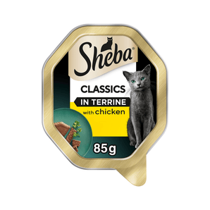 White background with a tray of Sheba Classics with chicken in terrine, pictured on the front is a British blue cat.