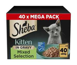 White background with a box of Sheba Kitten Sauce Collection Mixed Selection in gravy, pictured on the front is a British blue kitten.
