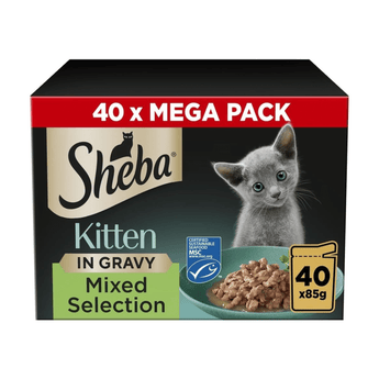 White background with a box of Sheba Kitten Sauce Collection Mixed Selection in gravy, pictured on the front is a British blue kitten.
