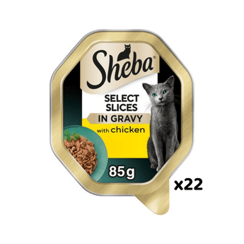 White background with a tray of Sheba Select Slices with chicken in gravy, pictured on the front is a British blue cat.