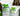 Two bags of Smart Litter wood pellet litter with a cat logo on a natural background.